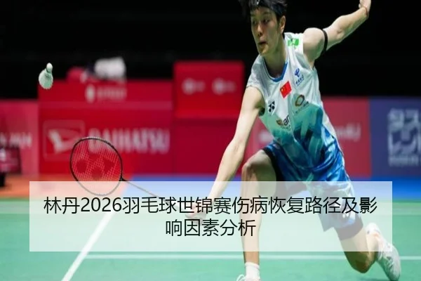lin-dan-yu-mao-qiu-shi-jin-sai-shang-bing-hui-fu-lu-jing-ji-ying-xiang-yin-su-fen-xi-2-813.jpg